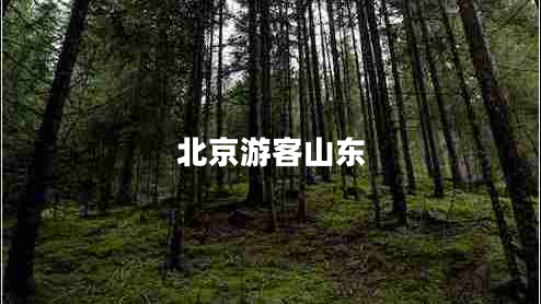 北京游客山東 北京游客山東