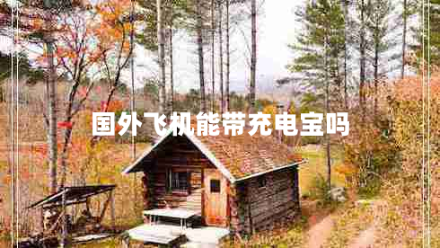 國外飛機(jī)能帶充電寶嗎 國外飛機(jī)能帶充電寶嗎