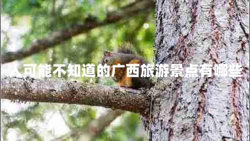人可能不知道的廣西旅游景點(diǎn)有哪些