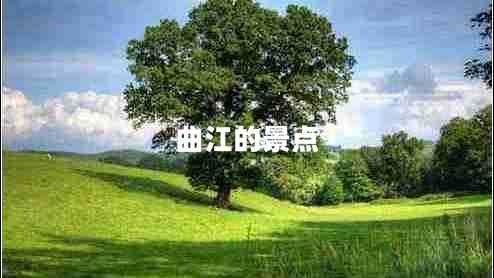 曲江的景點(diǎn)