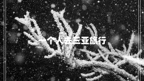 一個人去三亞旅行