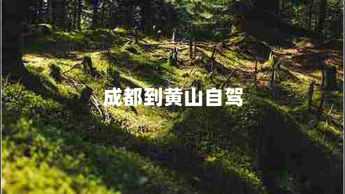 成都到黃山自駕 成都到黃山自駕