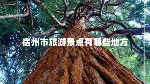 宿州市旅游景點(diǎn)有哪些地方