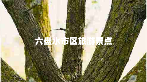 六盤水市區(qū)旅游景點(diǎn)