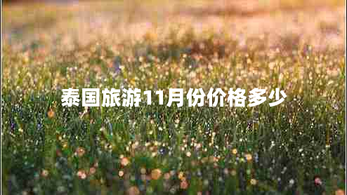 泰國旅游11月份價格多少