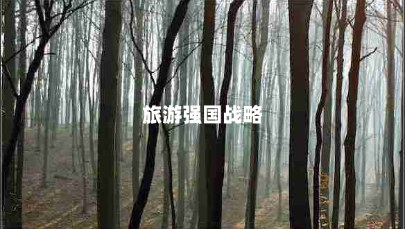 旅游強(qiáng)國(guó)戰(zhàn)略 旅游強(qiáng)國(guó)戰(zhàn)略