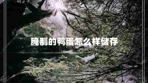 腌制的鴨蛋怎么樣儲(chǔ)存 腌制的鴨蛋怎么樣儲(chǔ)存