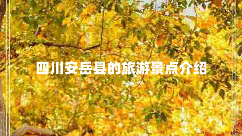 四川安岳縣的旅游景點介紹 四川安岳縣的旅游景點介紹