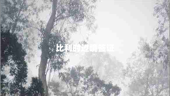 比利時(shí)過境簽證