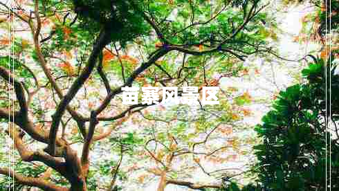 苗寨風景區(qū)