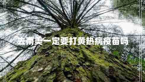 去南美一定要打黃熱病疫苗嗎