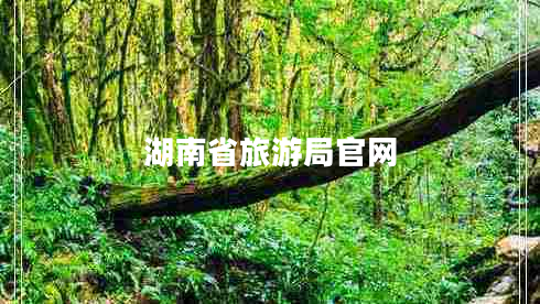 湖南省旅游局官網