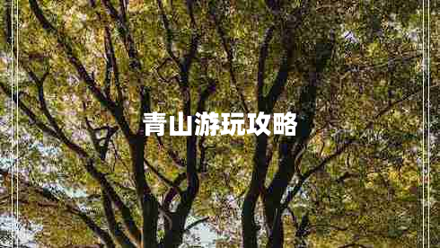 青山游玩攻略