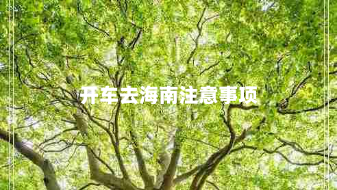 開車去海南注意事項(xiàng)