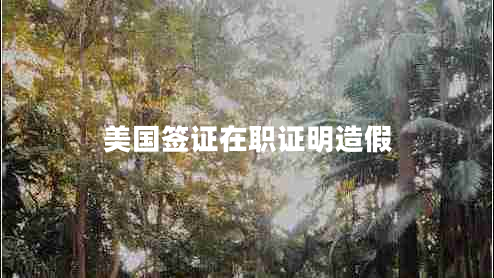 美國(guó)簽證在職證明造假