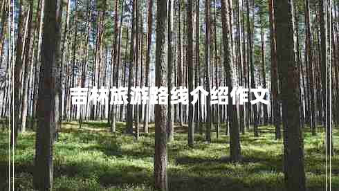 吉林旅游路線介紹作文