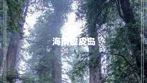 海南皮皮島 海南皮皮島