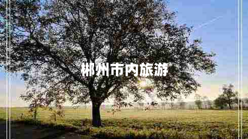 郴州市內(nèi)旅游