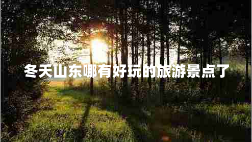 冬天山東哪有好玩的旅游景點(diǎn)了