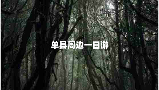 單縣周邊一日游