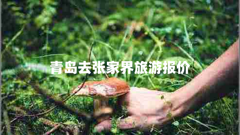 青島去張家界旅游報(bào)價(jià) 青島去張家界旅游報(bào)價(jià)