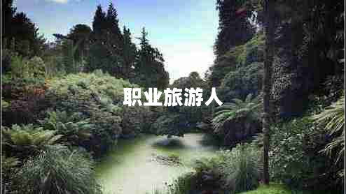 職業(yè)旅游人