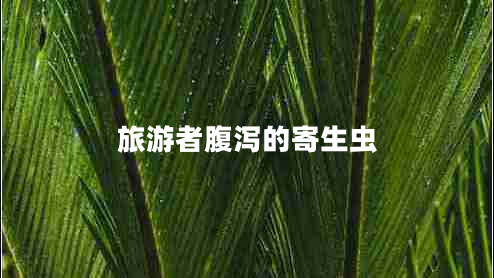 旅游者腹瀉的寄生蟲