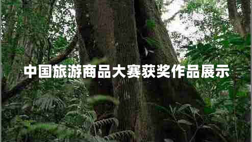 中國旅游商品大賽獲獎作品展示