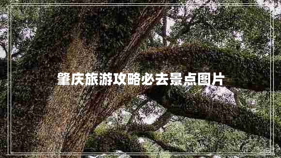 肇慶旅游攻略必去景點(diǎn)圖片