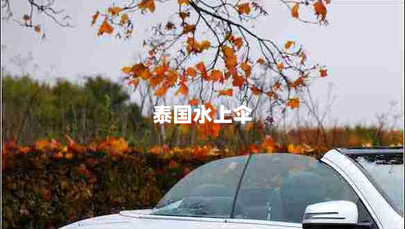 泰國(guó)水上傘