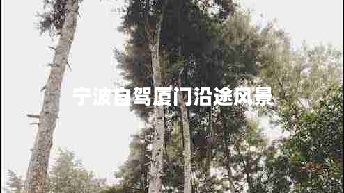 寧波自駕廈門沿途風景