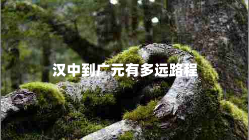 漢中到廣元有多遠路程