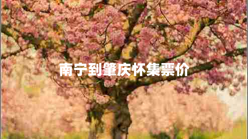 南寧到肇慶懷集票價