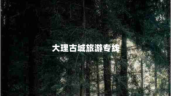 大理古城旅游專線