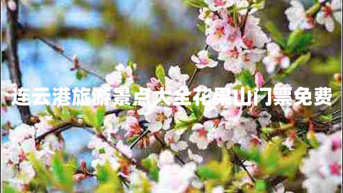 連云港旅游景點(diǎn)大全花果山門票免費(fèi)