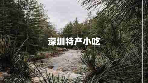 深圳特產(chǎn)小吃