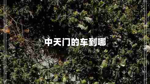 中天門的車到哪