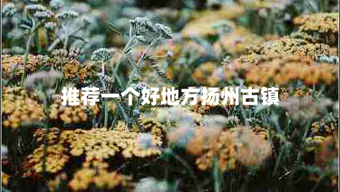推薦一個好地方揚州古鎮(zhèn)