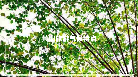 黃山旅游氣候特點