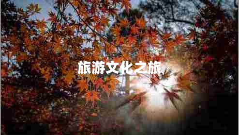 旅游文化之旅 旅游文化之旅