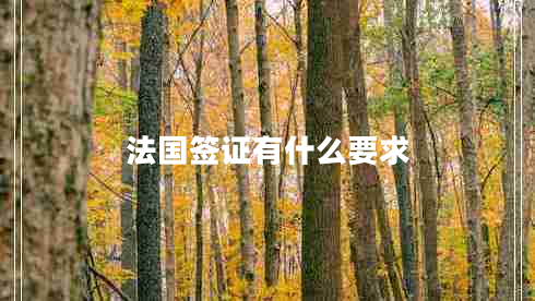 法國簽證有什么要求