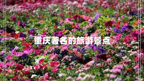 重慶著名的旅游景點(diǎn)