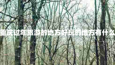 重慶過(guò)年旅游的地方好玩的地方有什么