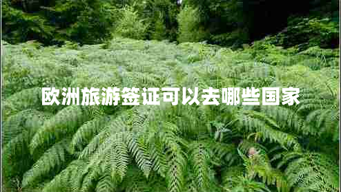 歐洲旅游簽證可以去哪些國(guó)家