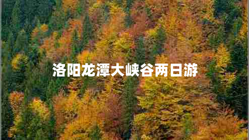 洛陽(yáng)龍?zhí)洞髰{谷兩日游