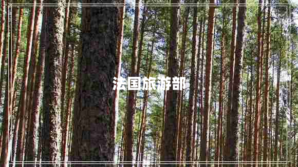 法國(guó)旅游部