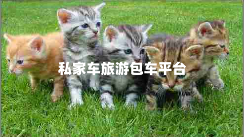 私家車旅游包車平臺(tái)