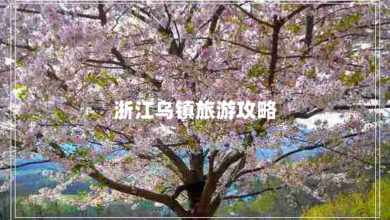 浙江烏鎮(zhèn)旅游攻略