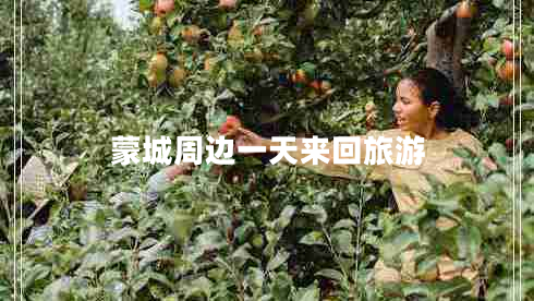 蒙城周邊一天來(lái)回旅游 蒙城周邊一天來(lái)回旅游