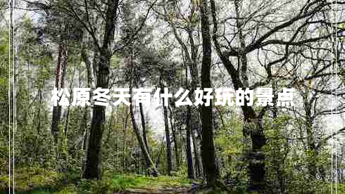 松原冬天有什么好玩的景點